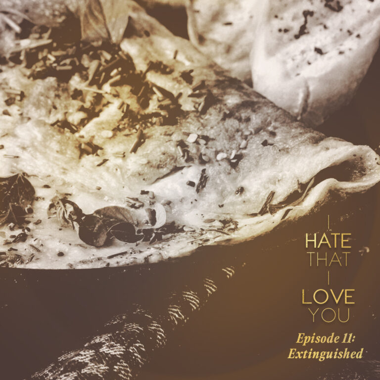 I Hate That I Love You: Episode 11 – Extinguished