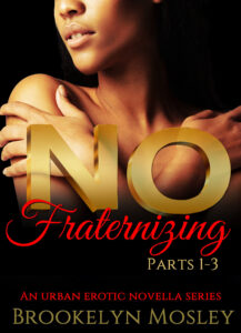 No Fraternizing Series